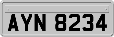 AYN8234