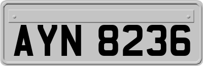 AYN8236