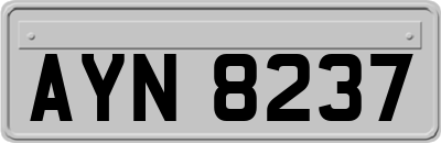 AYN8237