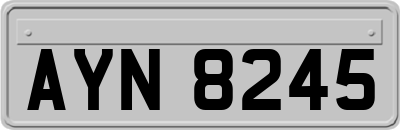 AYN8245