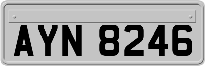 AYN8246