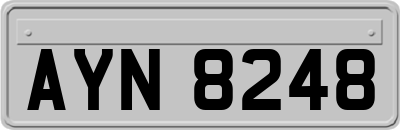 AYN8248