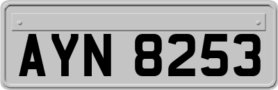 AYN8253