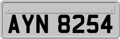 AYN8254
