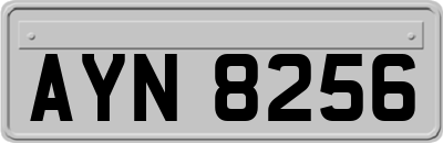 AYN8256