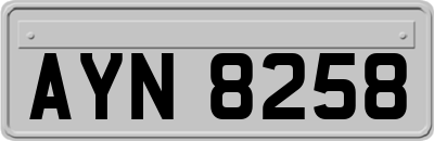 AYN8258