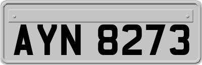 AYN8273