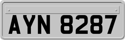 AYN8287