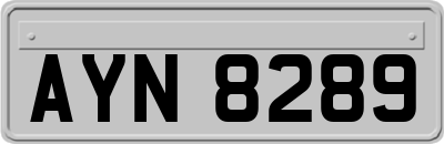 AYN8289