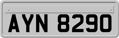 AYN8290