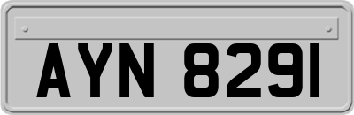 AYN8291