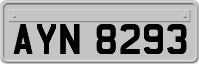 AYN8293
