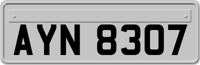 AYN8307