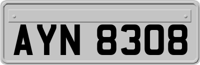 AYN8308