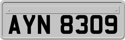 AYN8309