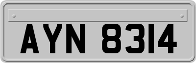 AYN8314