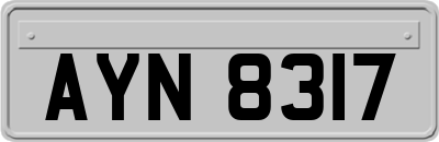 AYN8317