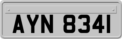 AYN8341