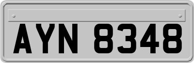 AYN8348