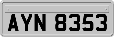 AYN8353