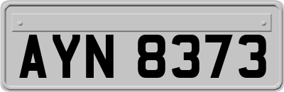 AYN8373