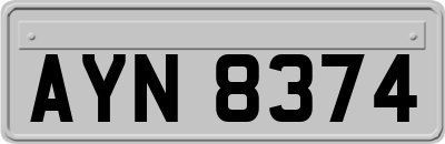 AYN8374