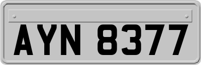 AYN8377