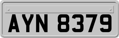 AYN8379