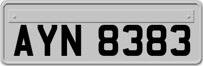 AYN8383