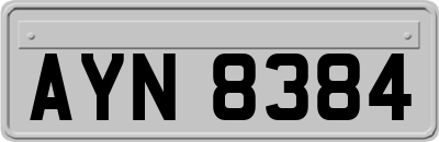 AYN8384