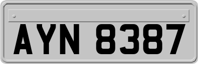 AYN8387