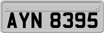AYN8395