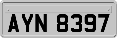 AYN8397