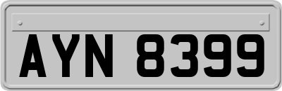 AYN8399