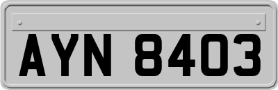 AYN8403