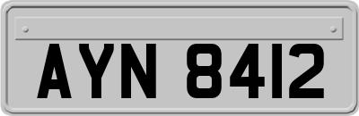 AYN8412