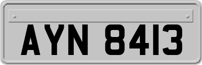 AYN8413