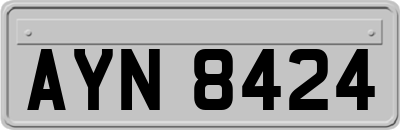 AYN8424