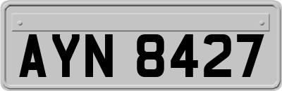 AYN8427