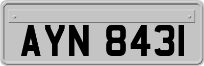 AYN8431