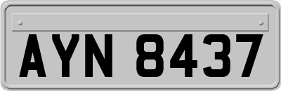 AYN8437