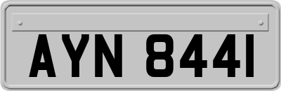 AYN8441