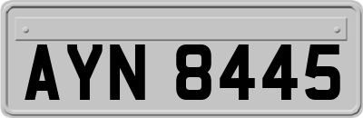 AYN8445