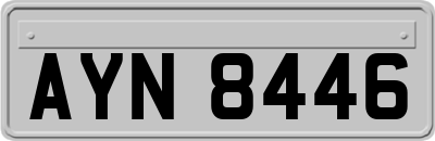 AYN8446