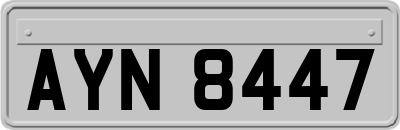 AYN8447