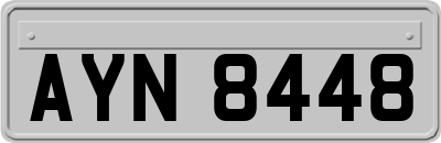 AYN8448
