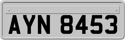 AYN8453