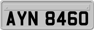 AYN8460