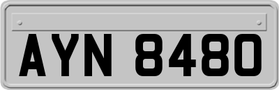 AYN8480