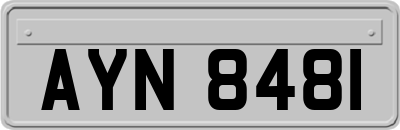 AYN8481